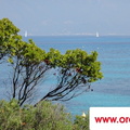 Korsika 2012 (89)