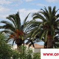 Korsika 2012 (135)